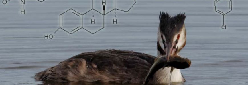 Hazardous Substances in European Waters - Data Assessment