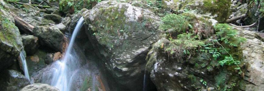 Conceptual study for nature-based solution for flood protection of river Borovniščica and its catchment