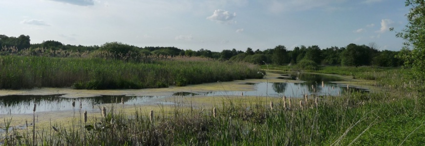 Preliminary assessment of river floodplain condition in Europe