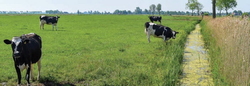 Water and agriculture: towards sustainable solutions